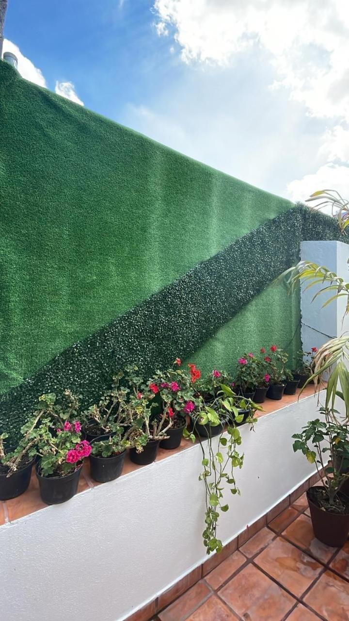 メキシコシティ Casa Frida Condesa Bed & Breakfast エクステリア 写真